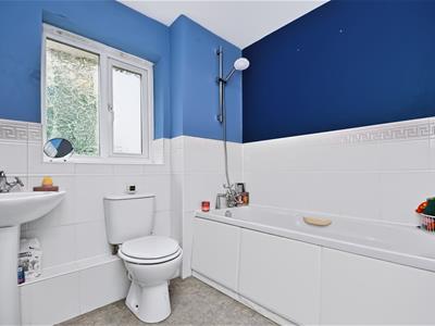 Picture 16